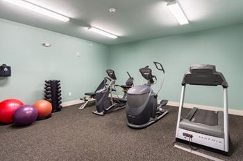 A room with a treadmill, exercise bike, and a rowing machine.